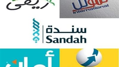 أبرزها ”أمان” و”فوري”.. نرصد أهم 10 شركات لتمويل المشروعات للشباب والمرأه