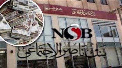 تمويل يصل لـ 10 آلاف جنيه .. تفاصيل القروض الاجتماعية من بنك ناصر