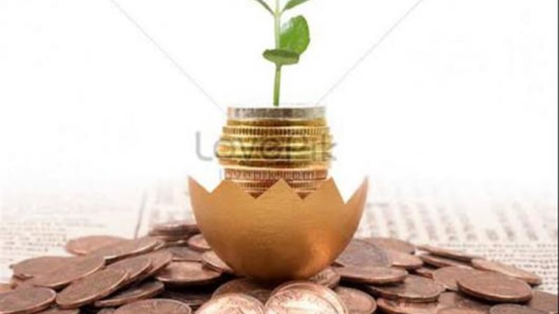 إستثمار صندوق مزيد