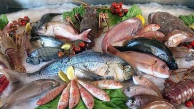 أسعار السمك اليوم الجمعه 29ـ11ـ2021 فى مصر