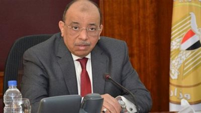 صندوق التنمية المحلية يمول 2194 مشروعا صغيرا بـ24 مليون جنيه
