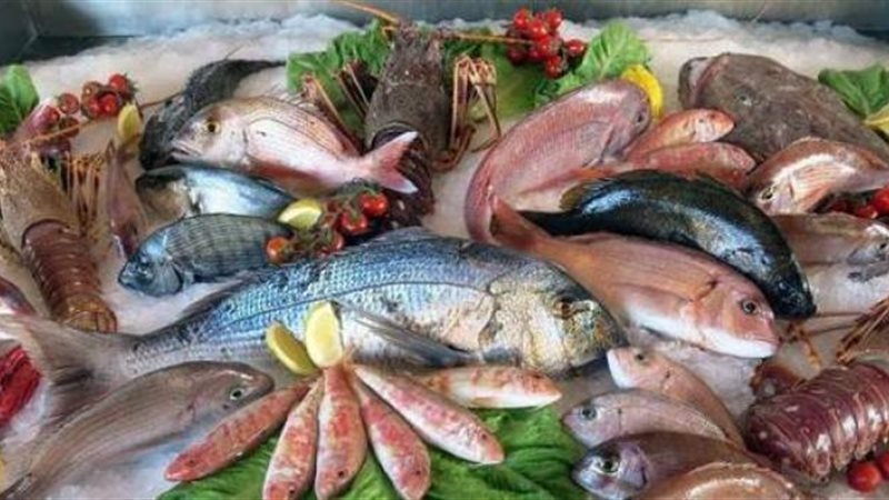 اسعار الاسماك اليوم