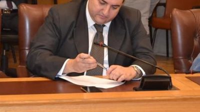 متى بشاي: «حياة كريمة» رفعت مبيعات الأدوات الصحية بنسبة 30 %