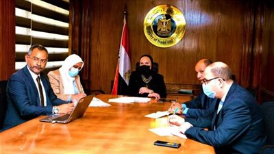 وزيرة الصناعة تبحث مع مسئولي «نيسان» خطط الشركة الاستثمارية في مصر