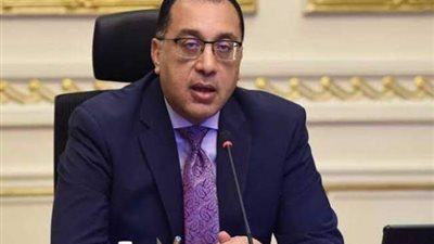 رئيس الوزراء يبحث مع وزير الزراعة التوسع في المشروع القومي للبتلو