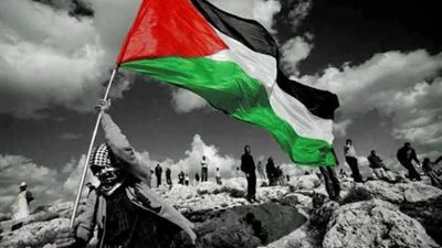 غرفة الجلود: 18 مصنعًا تتبرع بـ14 ألف حذاء لأهل غزة بمليون جنيه