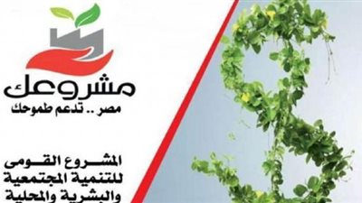 تمويل المشروعات الشبابية الصغيرة والناشئة.. شروط الحصول على قرض مشروعك للشباب 2022