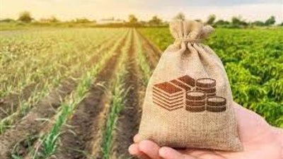 بأقل سعر عائد.. تفاصيل قرض باب رزق من البنك الزارعي المصري 2022