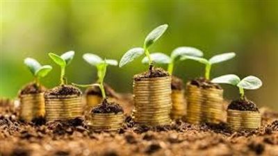بعائد يصل لـ 13%.. تفاصيل شهادات البنك الأهلي المصري بالعملة المحلية