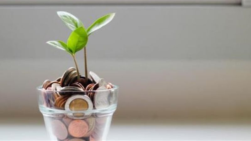 أسعار الفائدة على