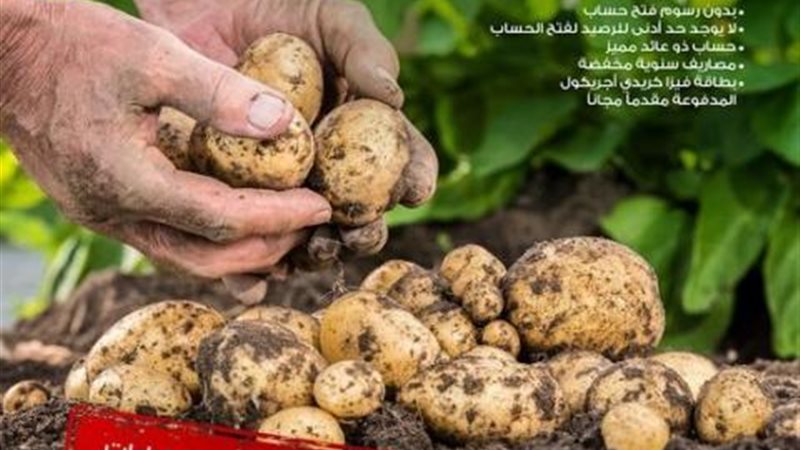 بوابة بنوك أونلاين
