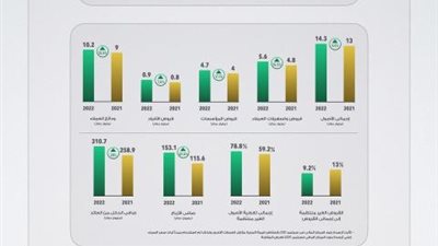 مؤشرات أداء قوية.. البنك العربي الافريقي الدولي يحقق صافي أرباح 153 مليون دولار بنمو 33%