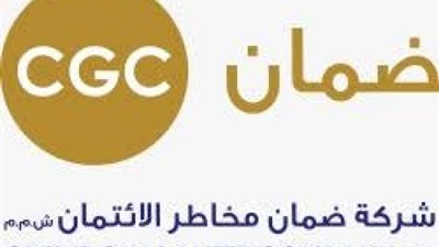284 مليار جنيه إجمالي حجم ائتمان «ضمان- CGC» لـ 204 ألف عميل