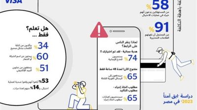 فيزا: 91% من المستخدمين المصريين عرضة لعمليات الاحتيال الإلكتروني لعدم انتباههم للعلامات التحذيرية