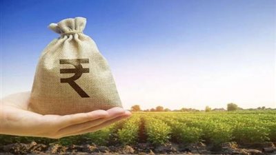 تفاصيل وشروط قرض المحاصيل الزراعية من البنك الزراعي المصري بفائدة 5%