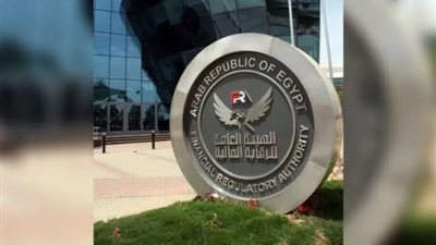الرقابة المالية توافق على تأسيس شركة جديدة للتمويل متناهي الصغر