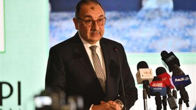 محمد شيمي: 20% ارتفاعا في إيرادات شركات القطاع العام إلى 126 مليار جنيه