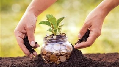 بفائدة 15% .. تفاصيل تمويل المحاصيل الزراعية من بنك الإسكندرية بمزايا تنافسية وشروط ميسرة للمزارعين