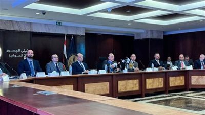 رئيس الرقابة المالية يكشف حصاد عام 2025 للأنشطة المالية غير المصرفية