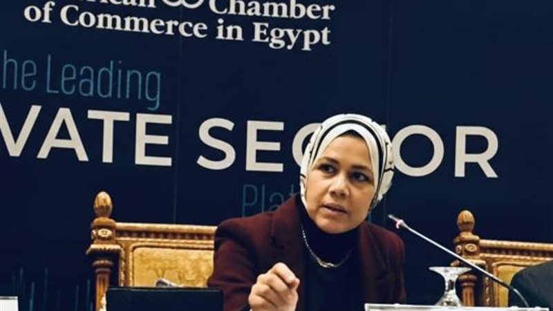 رشا عبد العال رئيس