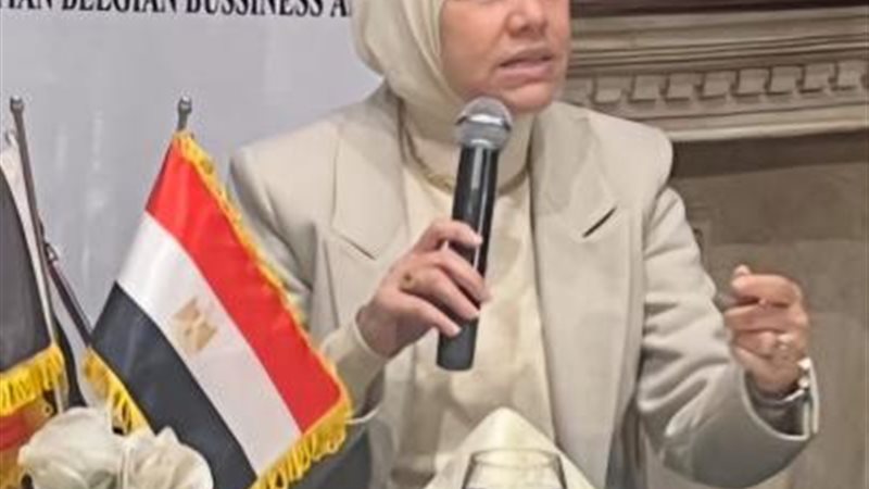 مصلحة الضرائب المصرية