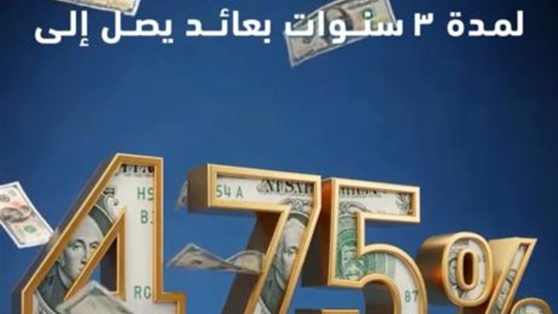 بوابة بنوك أونلاين