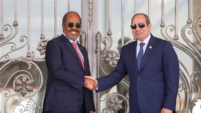 الجهاز للمركزي للأحصاء: 11.6% ارتفاعًا في حجم التبادل التجاري بين مصر والصومال خلال 2025