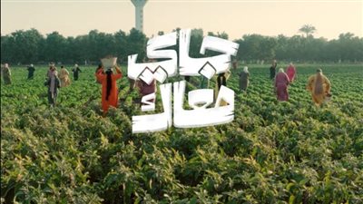 البنك الأهلي المصري يطلق حملة “جاي معاك” لدعم التنمية المجتمعية «فيديو»