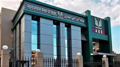 البنك الزراعي المصري يُنهي استعداداته لاستقبال موسم توريد القمح 2026