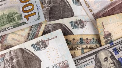 سعر الدولار اليوم الثلاثاء 25 أغسطس 2026 في البنوك المصرية