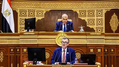 وزير التخطيط يستعرض مشروع خطة التنمية الاقتصادية والاجتماعية للعام المالي المقبل والخطة متوسطة المدى أمام مجلس الشيوخ