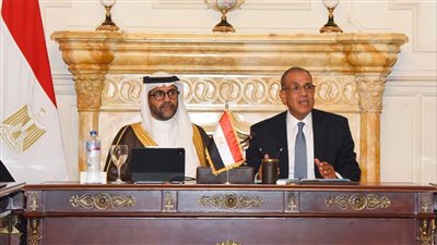 وزير الخارجية يعقد جلسة موسعة مع ممثلي القطاع الخاص بحضور رئيس مجلس إدارة المصرف العربي للتنمية الاقتصادية في أفريقيا