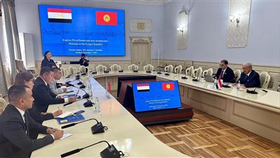 نائب رئيس الوزراء للشؤون الاقتصادية يبحث مع وزير الاقتصاد والتجارة القيرغيزي سبل تعزيز التعاون الاقتصادي والتجاري والاستثماري