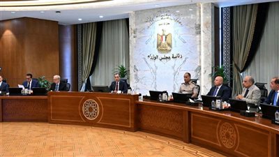 مجلس الوزراء يوافق على حزمة قرارات جديدة لدعم الأمن الغذائي وخفض الدين الخارجي وتعزيز التحول الرقمي وتنمية سيناء