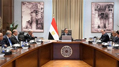 رئيس الوزراء يتابع مستجدات إعادة هيكلة وتطوير وحوكمة الشركات المملوكة للدولة 