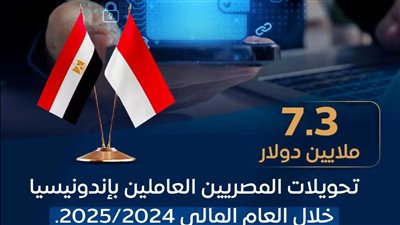 ارتفاع تحويلات المصريين العاملين بإندونيسيا إلى 7.3 ملايين دولار خلال 2024/2025