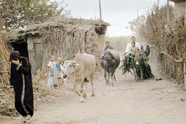 سولاف درويش تشيد بمبادرة البنك الزراعي
