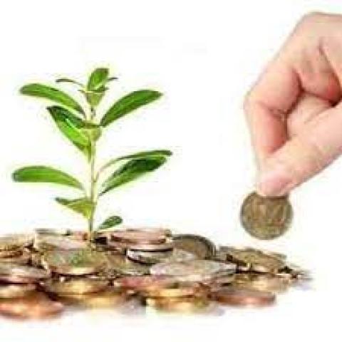 برامج تمويل المشروعات متناهية الصغر من البنك الزراعي المصري