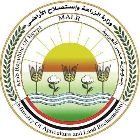 بنوك أونلاين