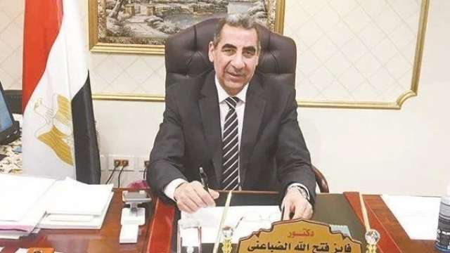 الدكتور فايز الضباعني رئيس مصلحة الضرائب المصرية