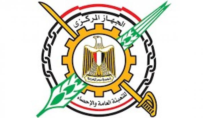 الجهاز المركزي للتعبئة العامة والإحصاء: معدل التضخم العام السنوي يتراجع إلى 11.2% بنهاية أغسطس 2025