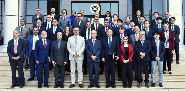  اللجنة المصرية اليابانية