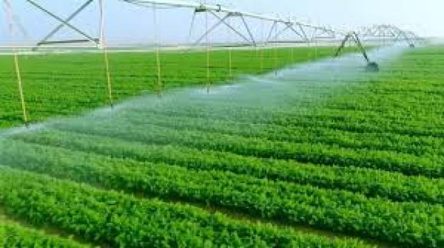 بنوك أونلاين