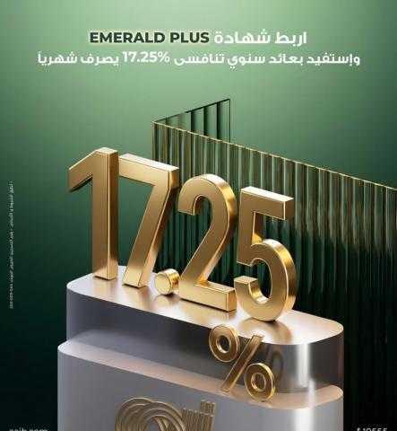 دخل شهري مضمون..تفاصيل شهادة Emerald Plus من البنك العربى الأفريقي الدولى بعائد 17.25%