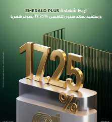 دخل شهري مضمون..تفاصيل شهادة Emerald Plus من البنك العربى الأفريقي الدولى بعائد 17.25%