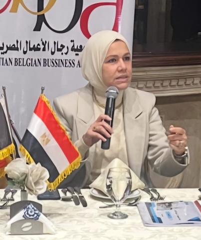 مصلحة الضرائب المصرية 